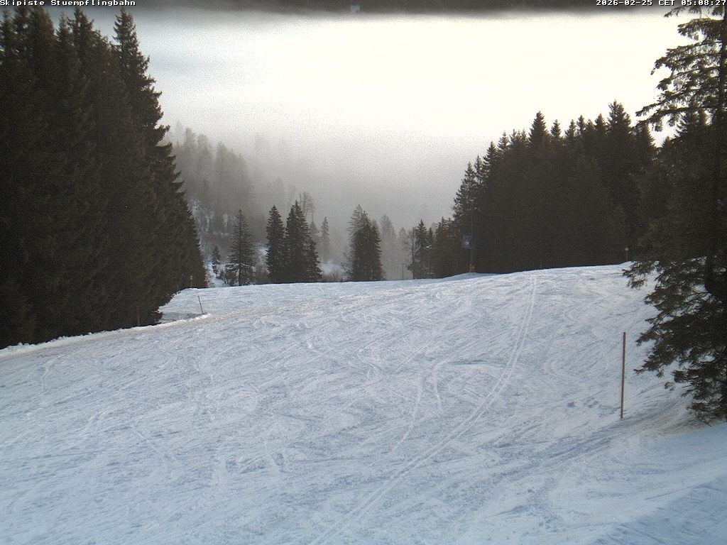 Archiv Foto Webcam Skiabfahrt "Stümpfling"