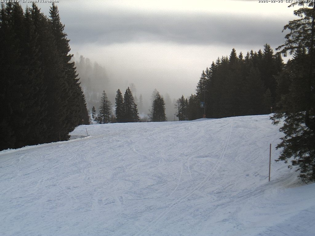 Archiv Foto Webcam Skiabfahrt "Stümpfling"