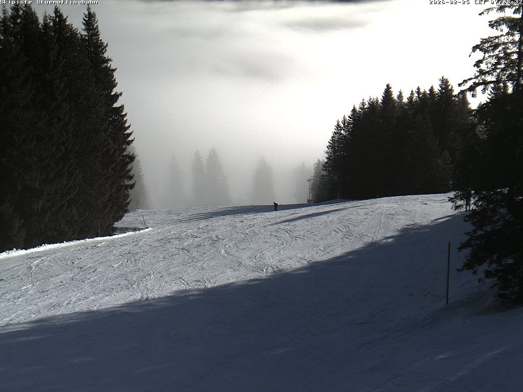Archiv Foto Webcam Skiabfahrt "Stümpfling"