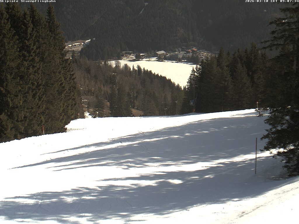 Archiv Foto Webcam Skiabfahrt "Stümpfling"