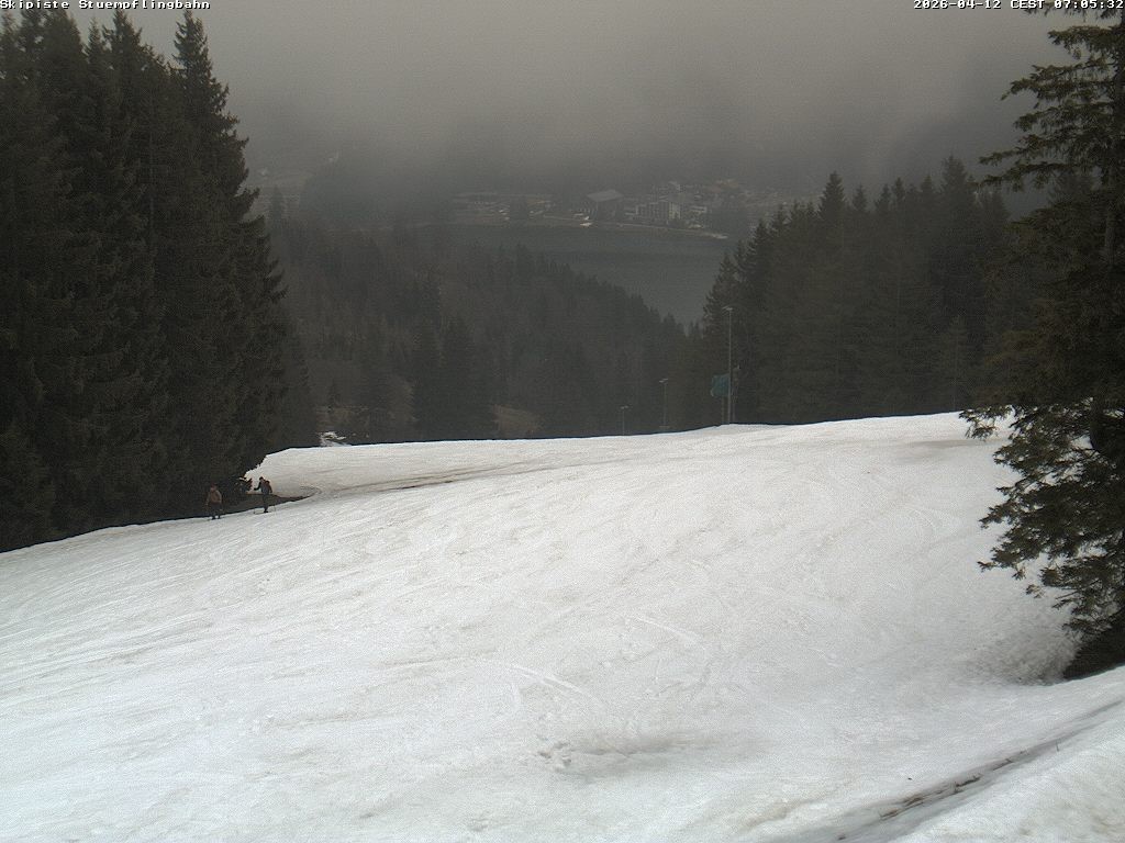 Archiv Foto Webcam Skiabfahrt "Stümpfling"