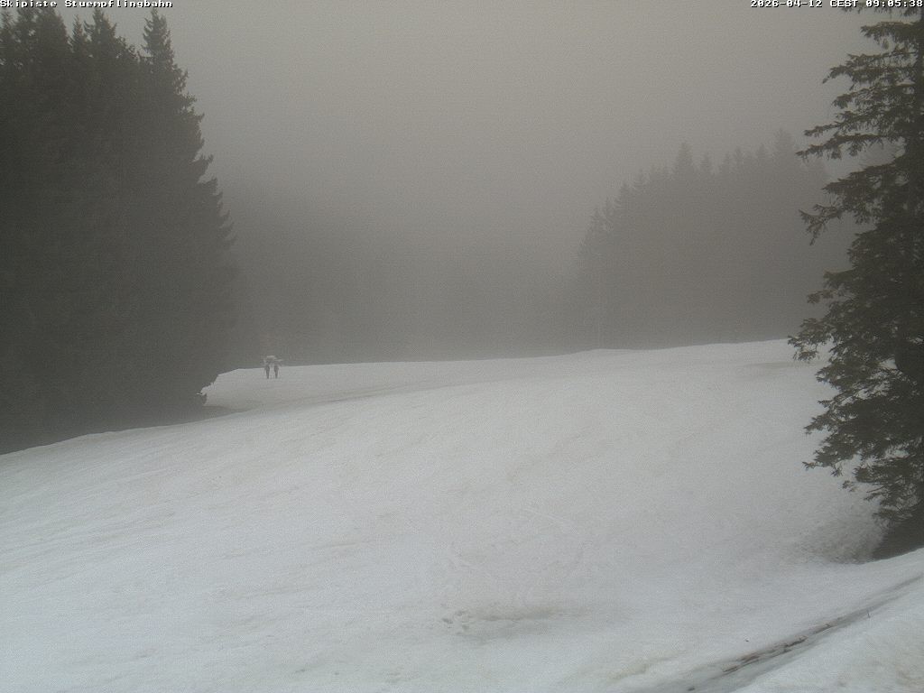 Archiv Foto Webcam Skiabfahrt "Stümpfling"