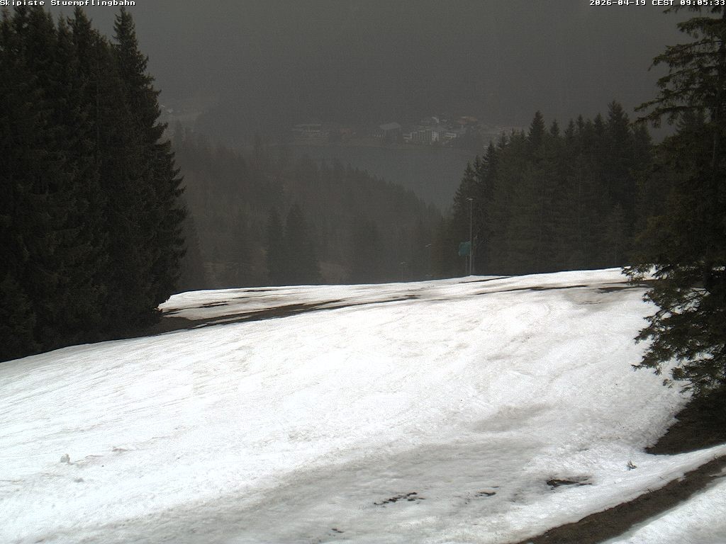 Archiv Foto Webcam Skiabfahrt "Stümpfling"