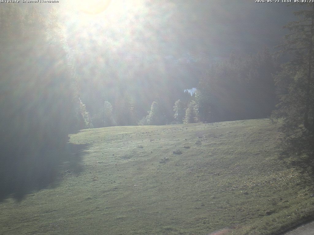 Archiv Foto Webcam Skiabfahrt "Stümpfling"