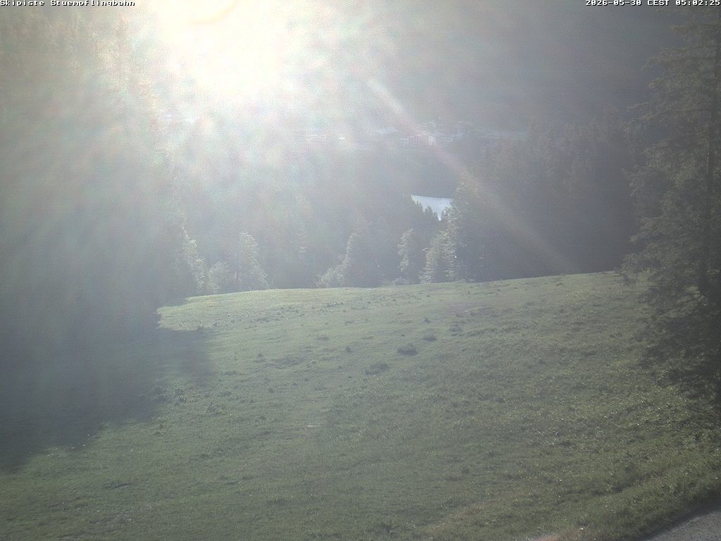 Archiv Foto Webcam Skiabfahrt "Stümpfling"