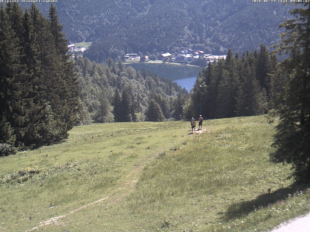 Archiv Foto Webcam Skiabfahrt "Stümpfling"