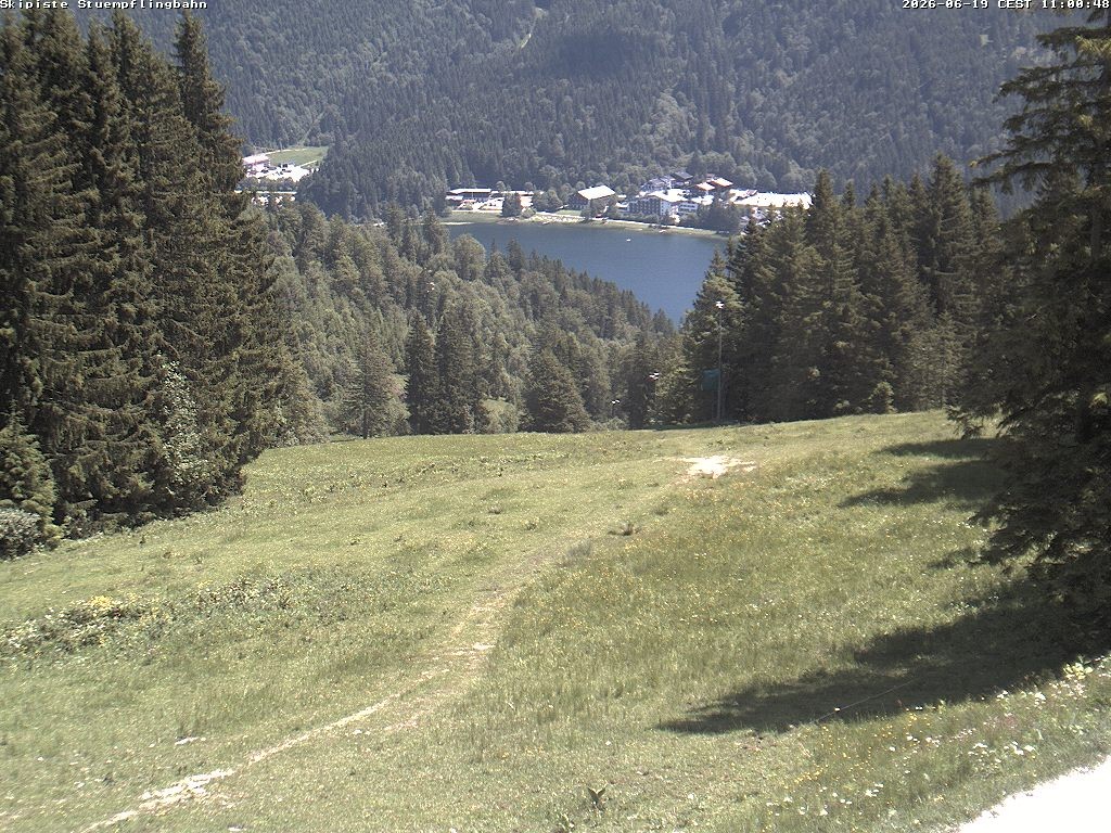 Archiv Foto Webcam Skiabfahrt "Stümpfling"