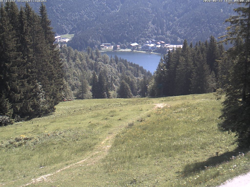 Archiv Foto Webcam Skiabfahrt "Stümpfling"
