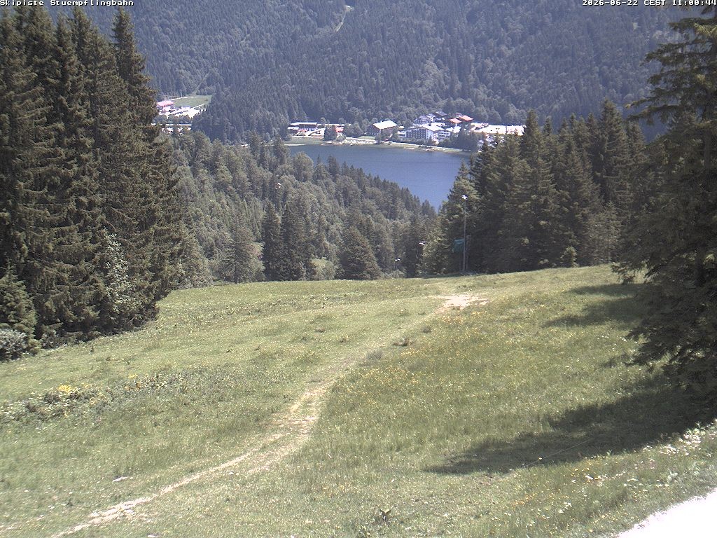 Archiv Foto Webcam Skiabfahrt "Stümpfling"