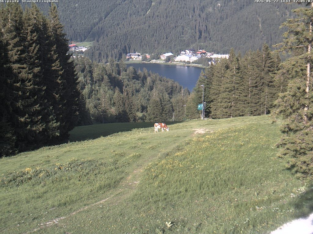 Archiv Foto Webcam Skiabfahrt "Stümpfling"