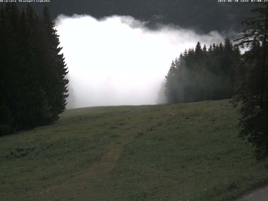 Archiv Foto Webcam Skiabfahrt "Stümpfling"