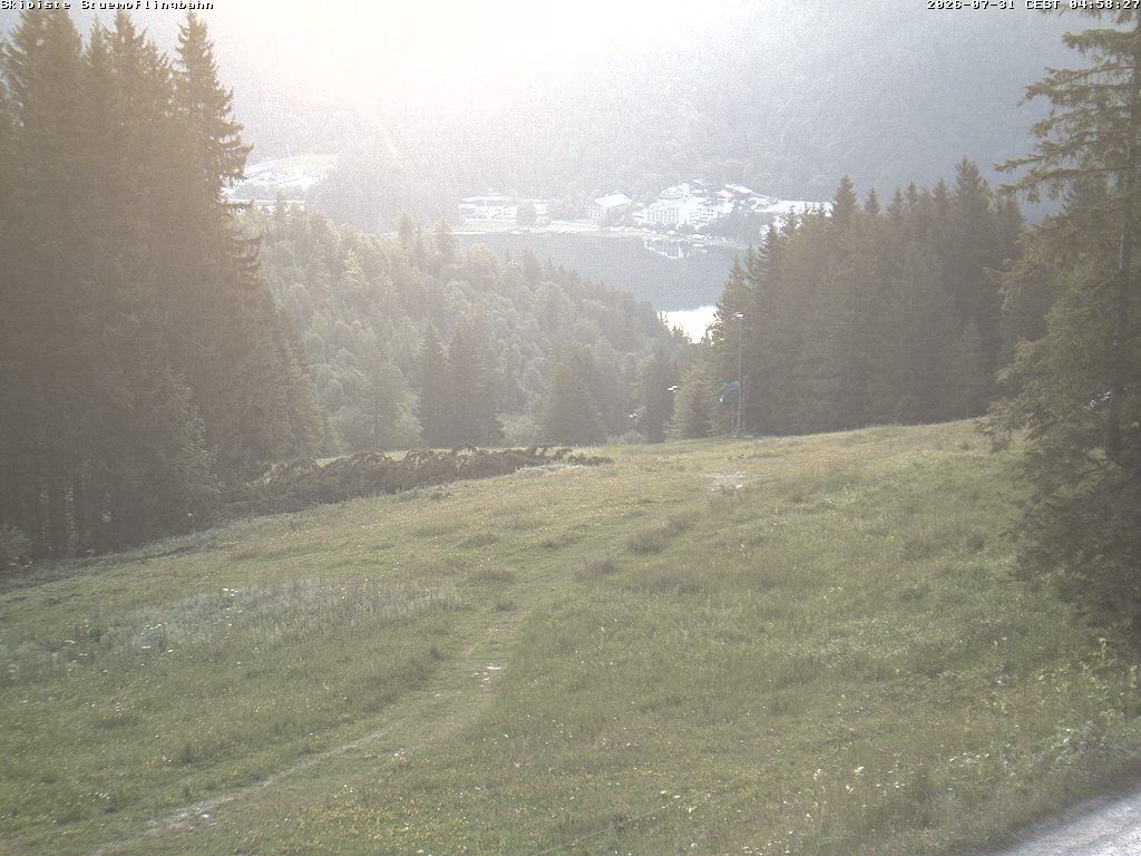 Archiv Foto Webcam Skiabfahrt "Stümpfling"