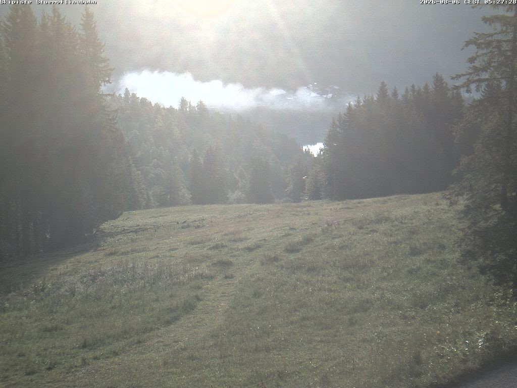 Archiv Foto Webcam Skiabfahrt "Stümpfling"