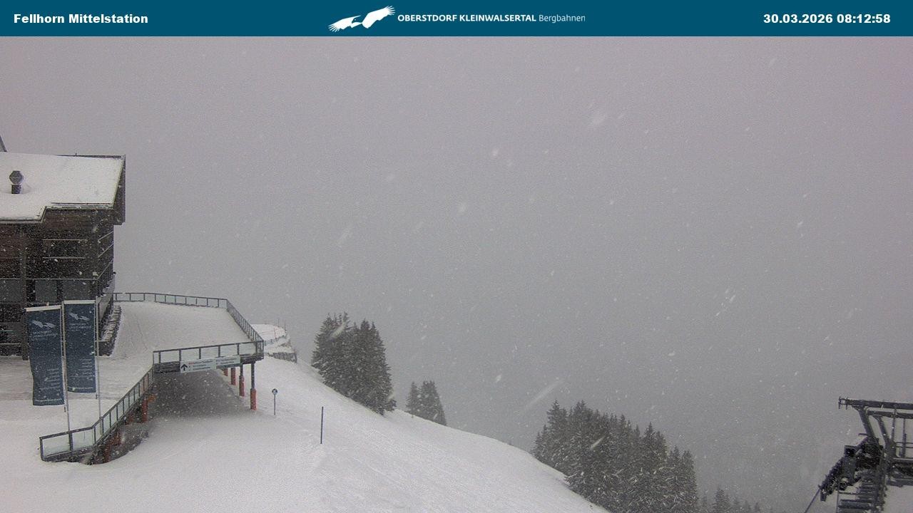 Archiv Foto Webcam Mittelstation am Fellhorn