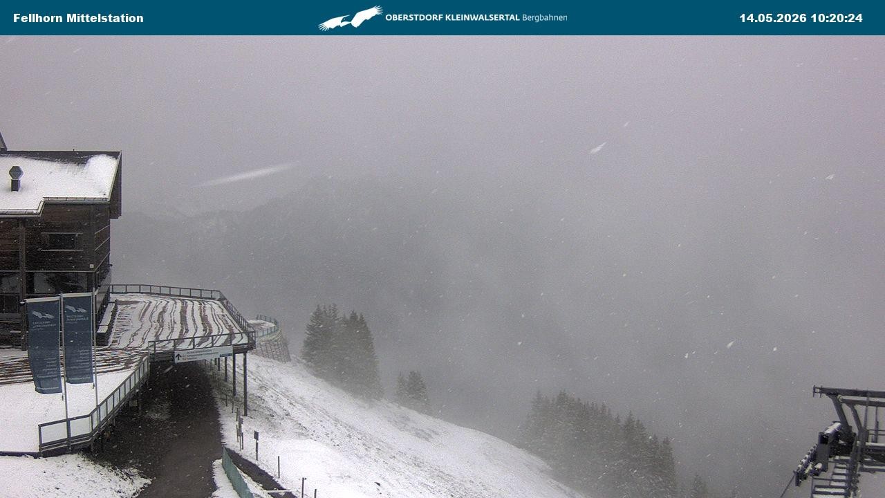 Archiv Foto Webcam Mittelstation am Fellhorn