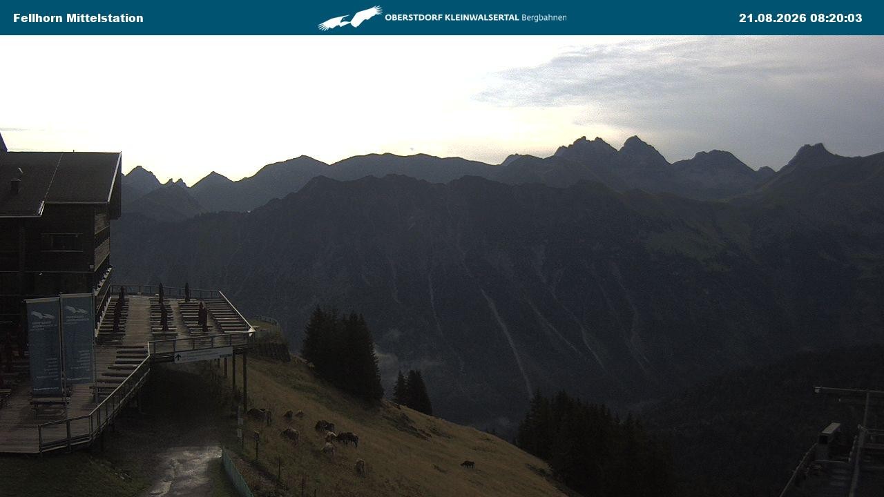 Archiv Foto Webcam Mittelstation am Fellhorn
