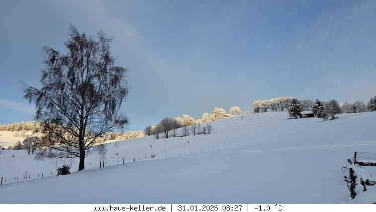 Archiv Foto Webcam Todtnauberg: Haus Keller