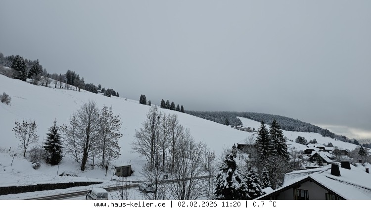 Archiv Foto Webcam Todtnauberg: Haus Keller