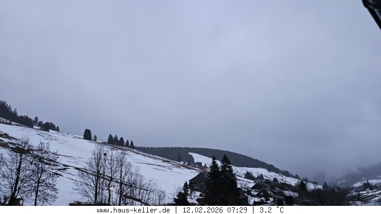 Archiv Foto Webcam Todtnauberg: Haus Keller