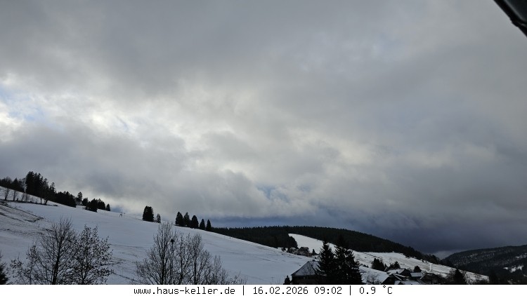 Archiv Foto Webcam Todtnauberg: Haus Keller