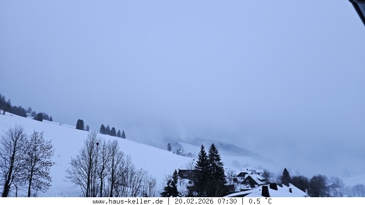 Archiv Foto Webcam Todtnauberg: Haus Keller