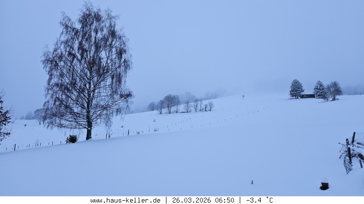 Archiv Foto Webcam Todtnauberg: Haus Keller