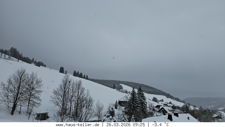 Archiv Foto Webcam Todtnauberg: Haus Keller