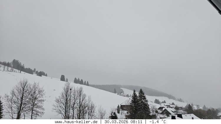 Archiv Foto Webcam Todtnauberg: Haus Keller