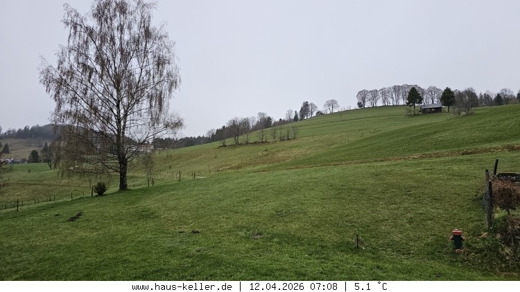 Archived image Webcam Todtnauberg: guest house Keller