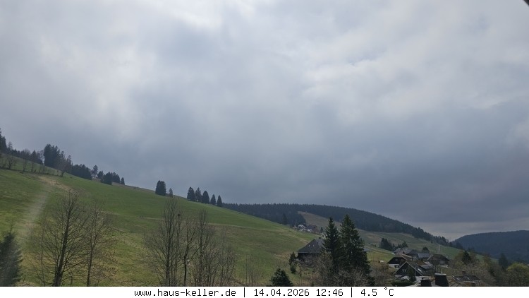 Archiv Foto Webcam Todtnauberg: Haus Keller