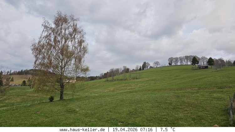 Archiv Foto Webcam Todtnauberg: Haus Keller