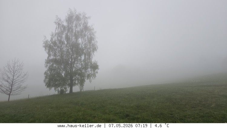 Archiv Foto Webcam Todtnauberg: Haus Keller