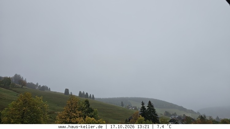 Archiv Foto Webcam Todtnauberg: Haus Keller