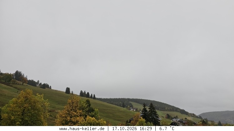 Archiv Foto Webcam Todtnauberg: Haus Keller