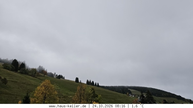 Archived image Webcam Todtnauberg: guest house Keller