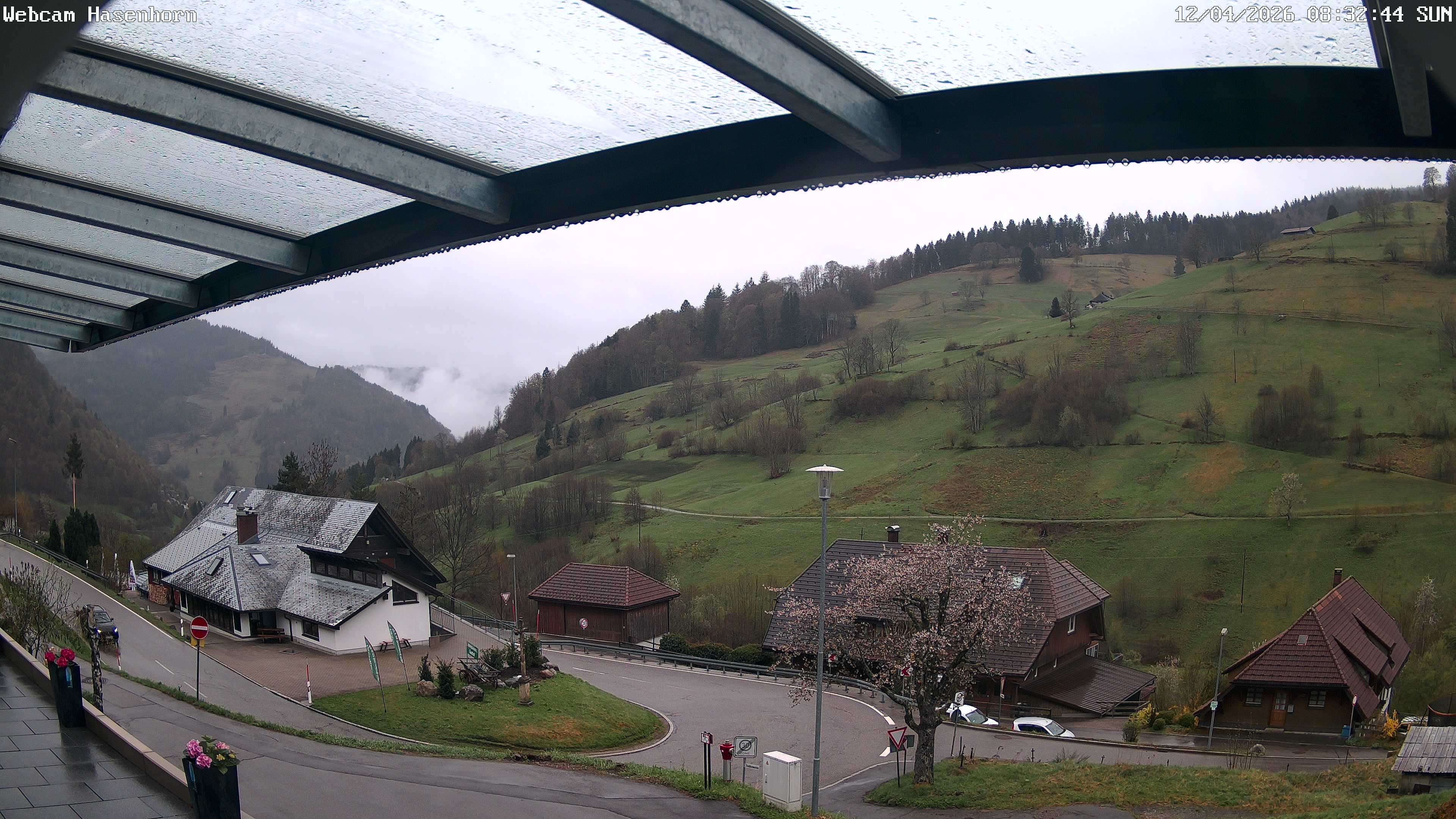 Archived image Webcam Hasenhorn mountain (Black Forest)