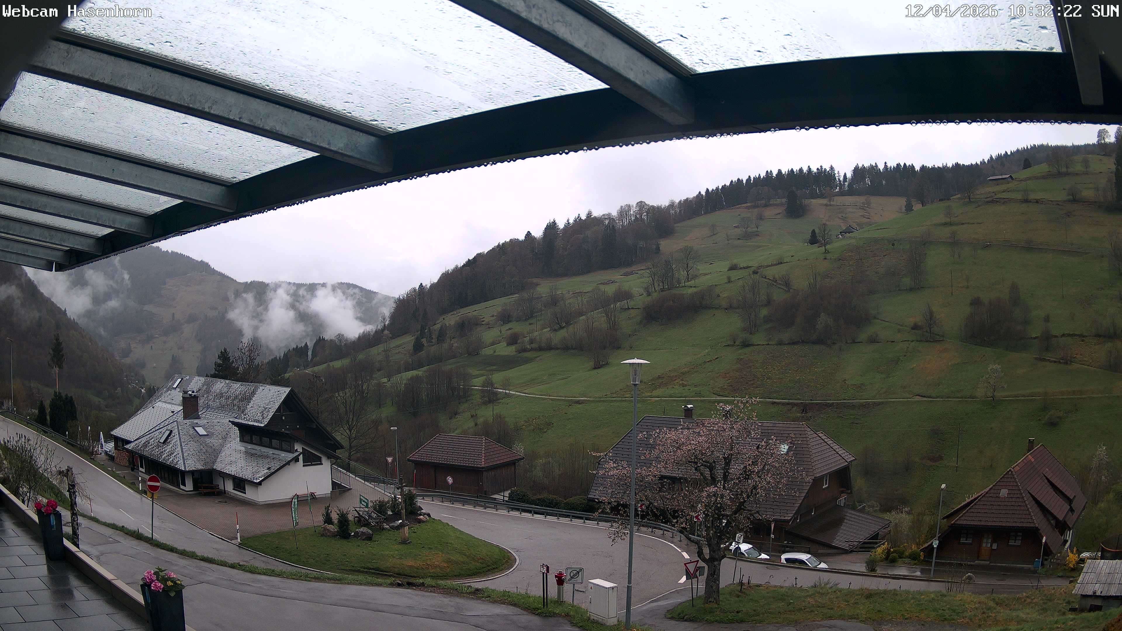 Archived image Webcam Hasenhorn mountain (Black Forest)
