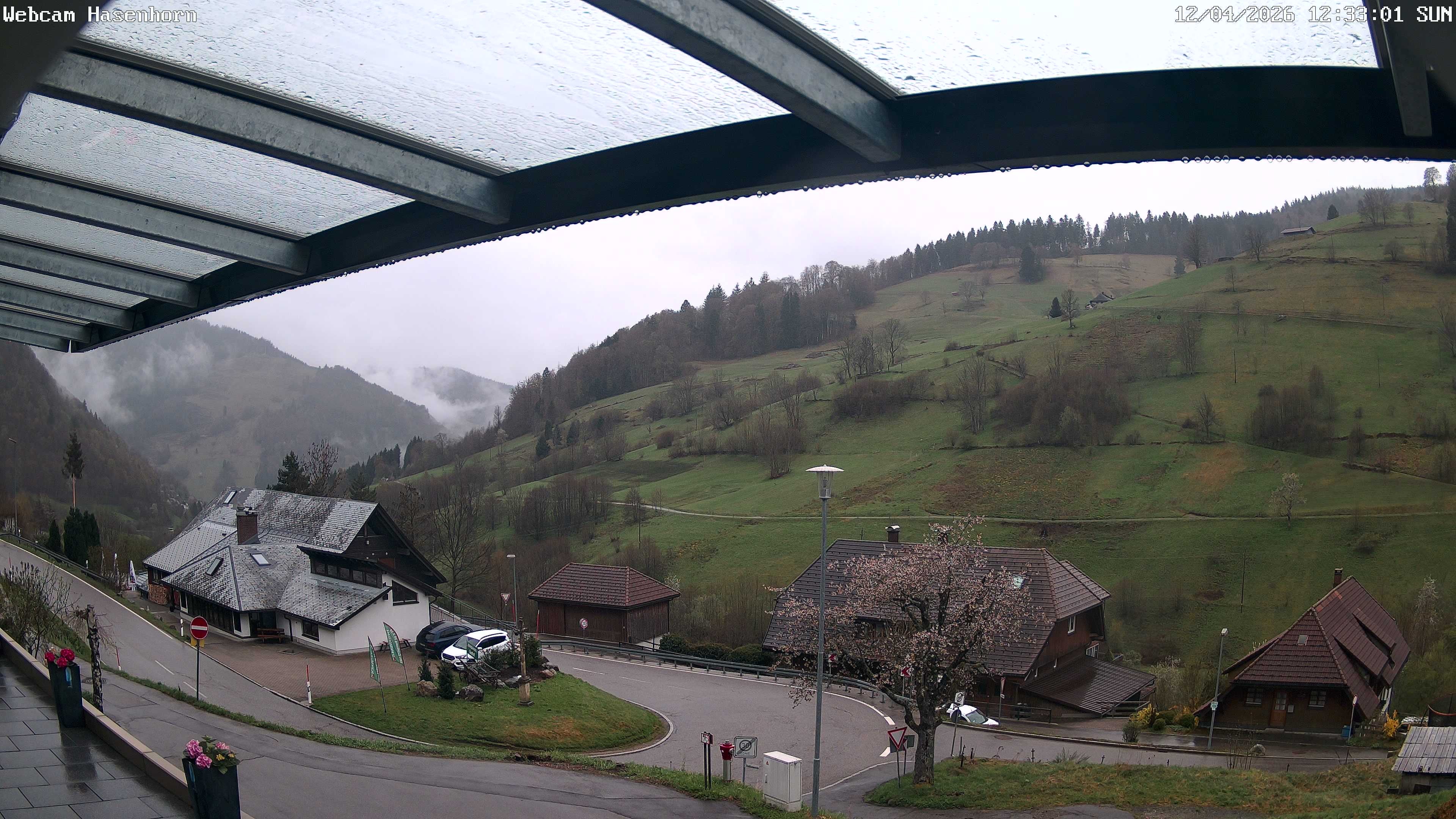Archived image Webcam Hasenhorn mountain (Black Forest)