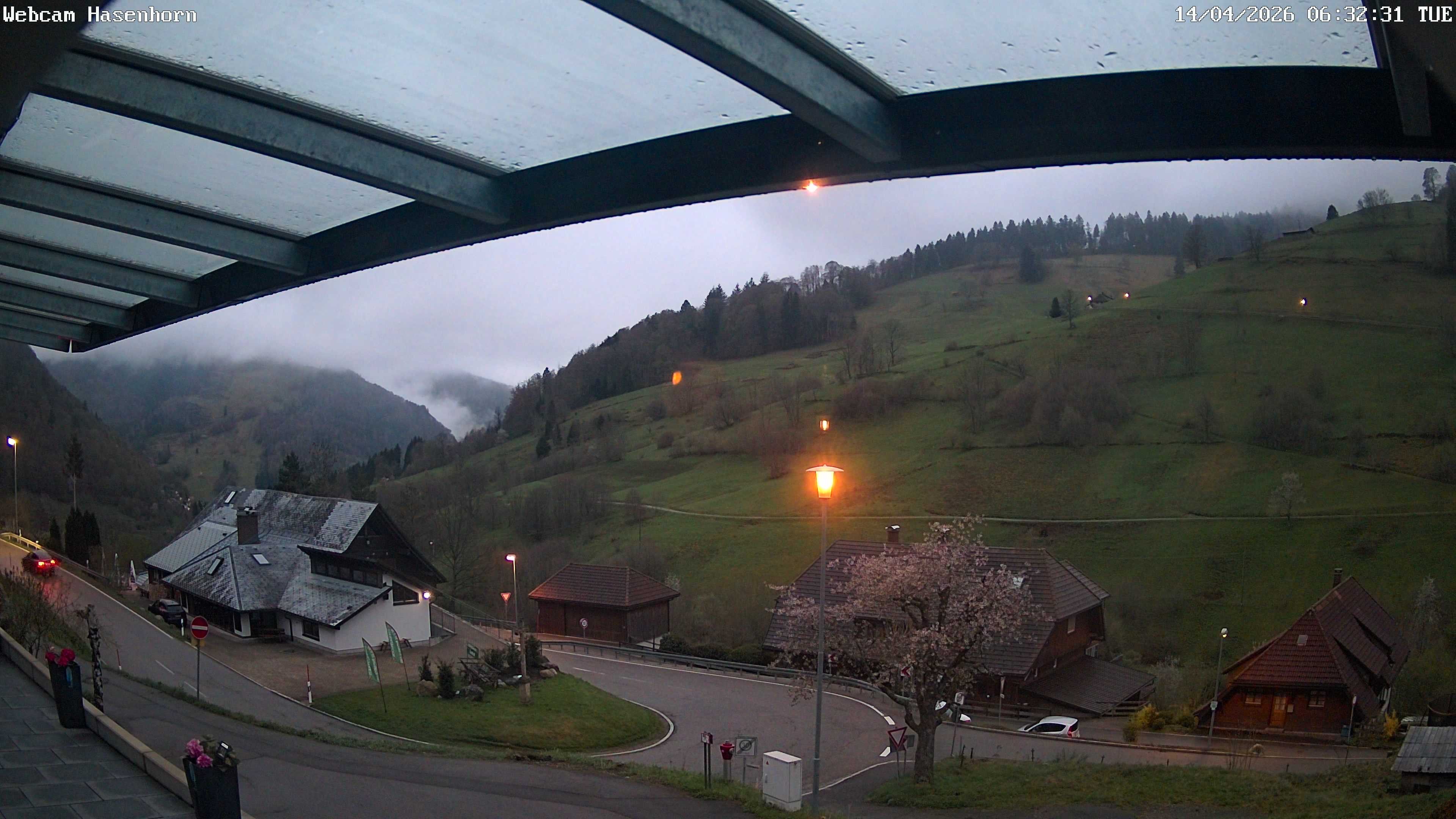 Archiv Foto Webcam Hasenhorn im Südschwarzwald