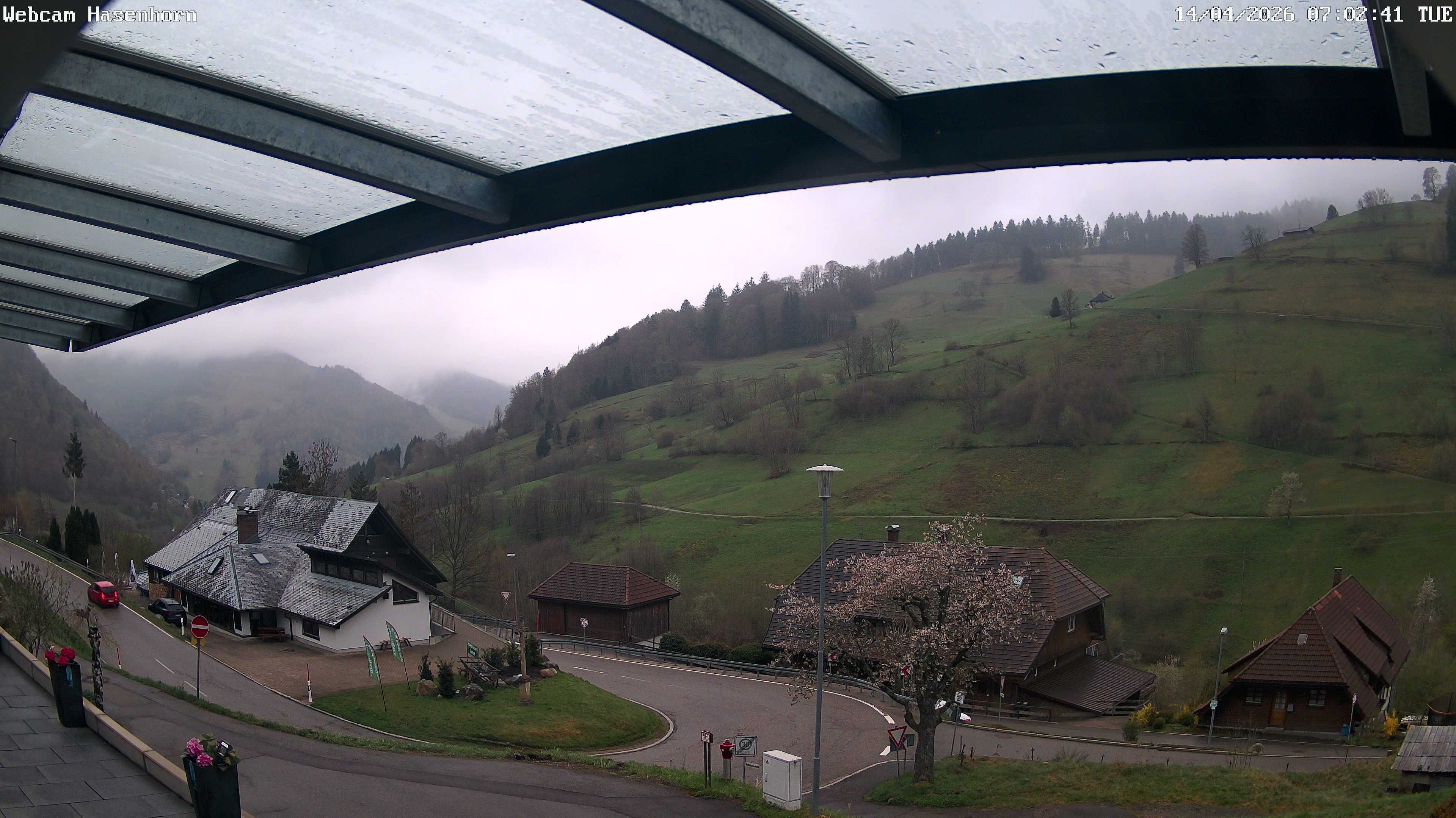 Archiv Foto Webcam Hasenhorn im Südschwarzwald