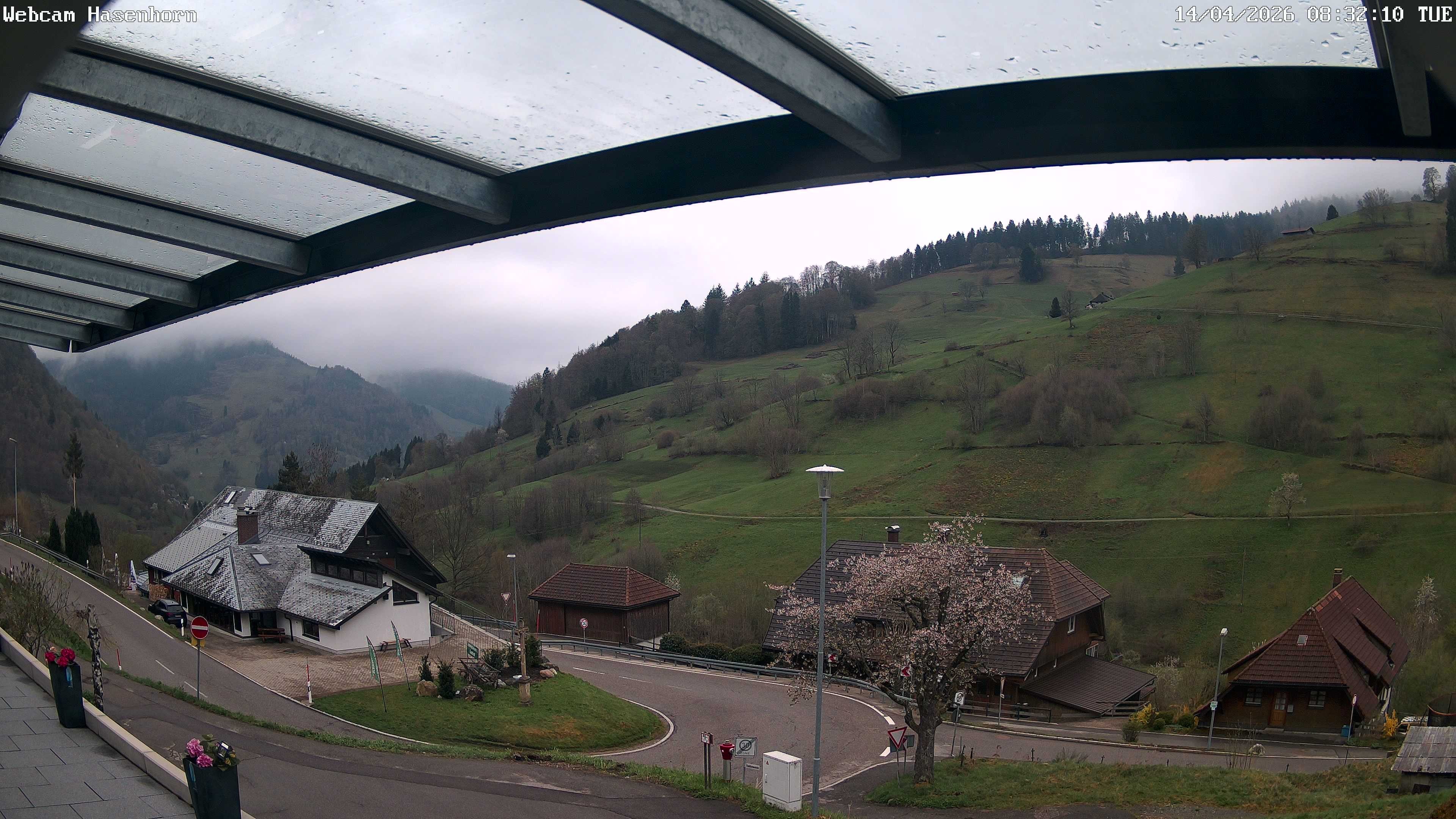 Archiv Foto Webcam Hasenhorn im Südschwarzwald