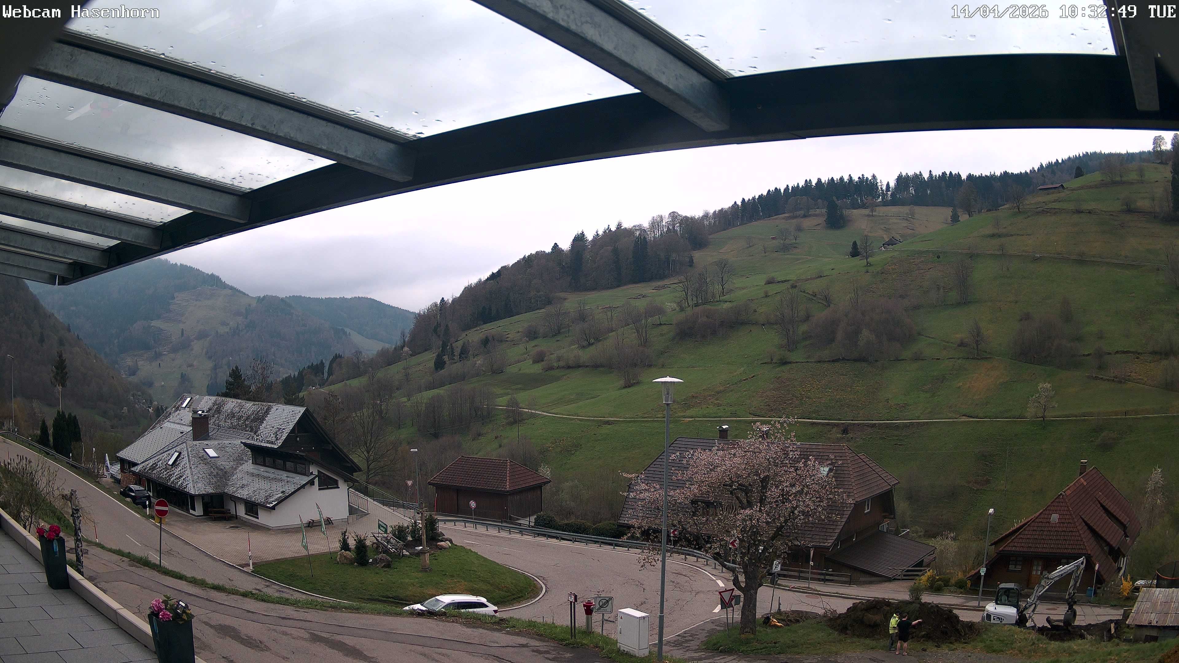 Archiv Foto Webcam Hasenhorn im Südschwarzwald