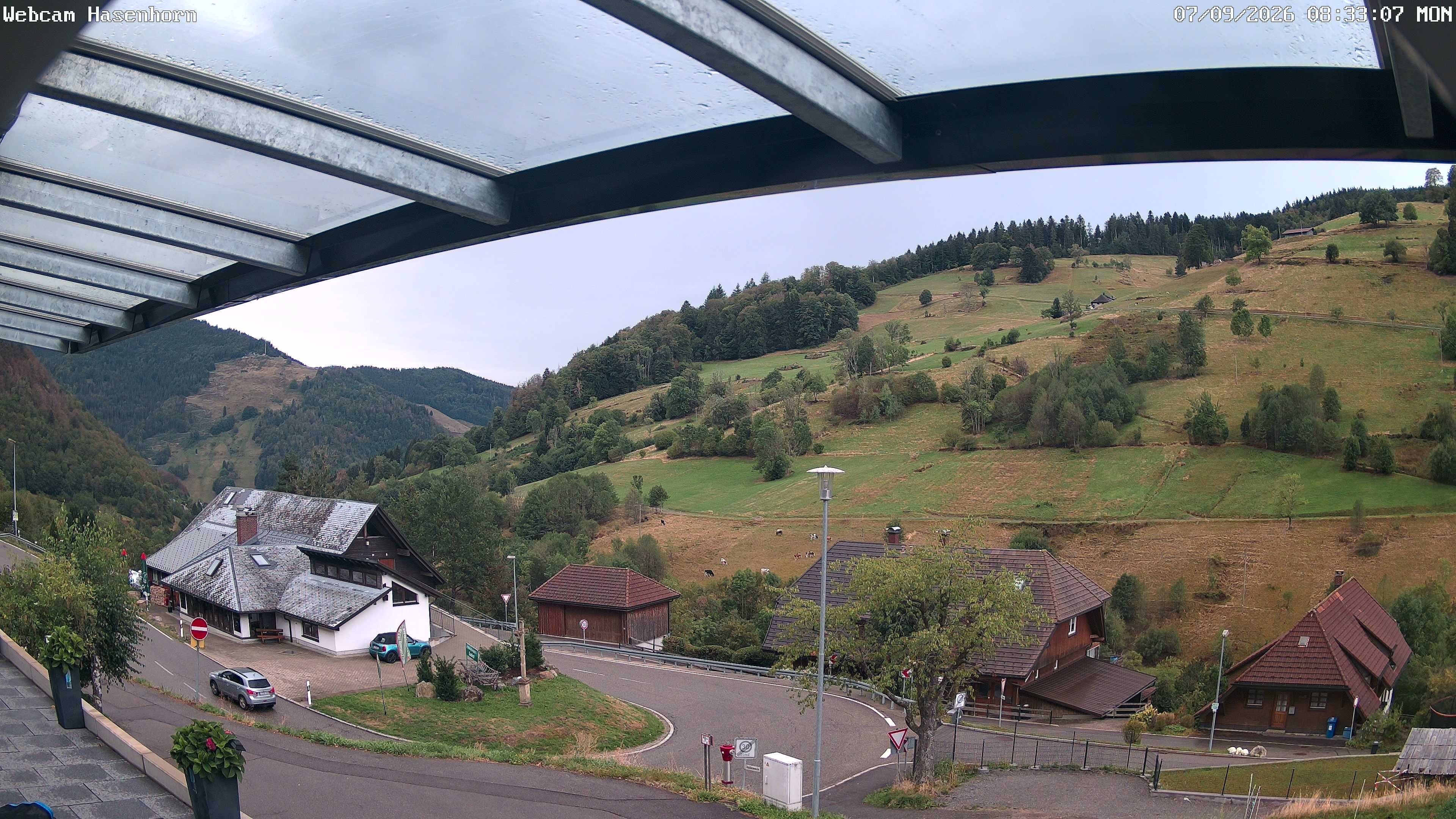 Archiv Foto Webcam Hasenhorn im Südschwarzwald