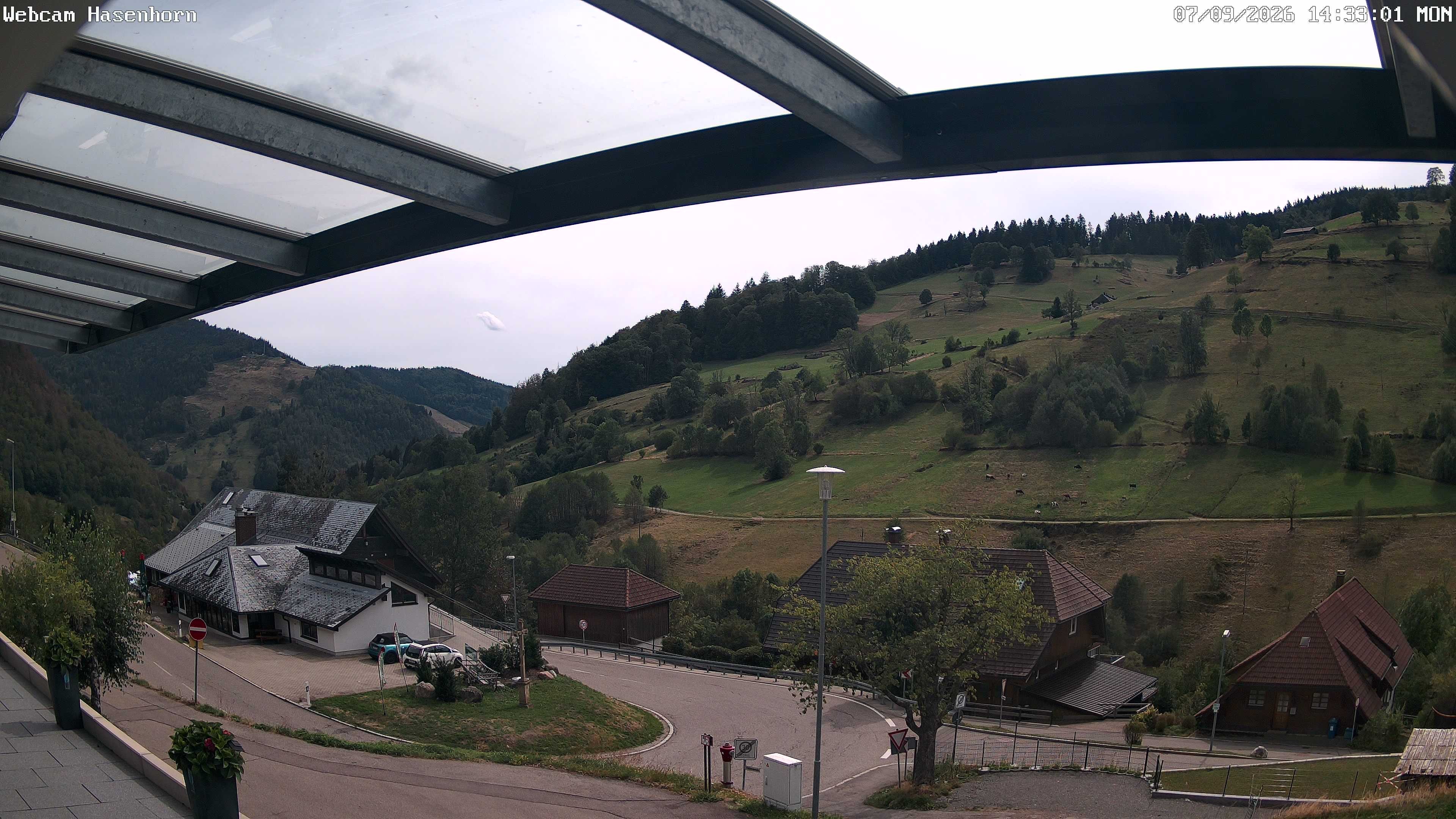 Archiv Foto Webcam Hasenhorn im Südschwarzwald