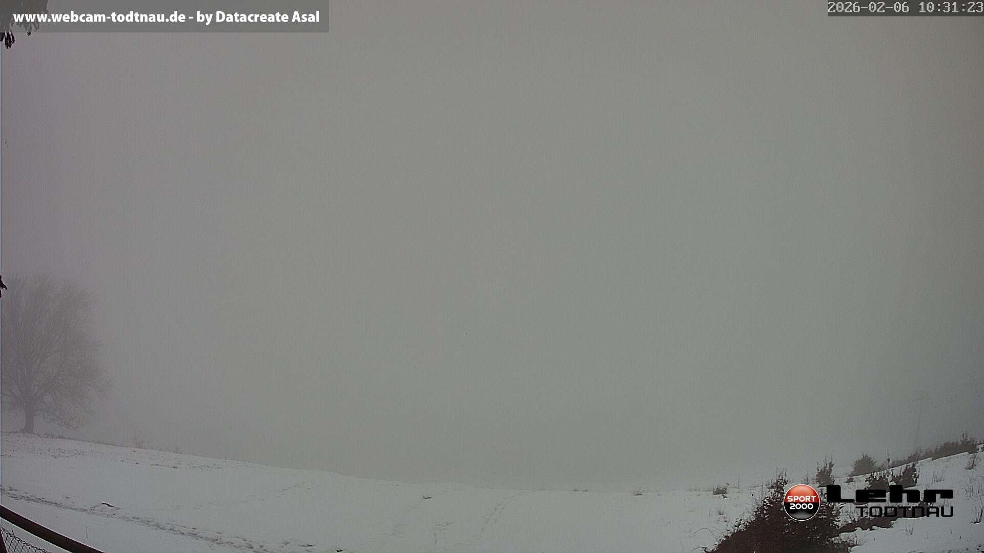 Archiv Foto Webcam Todtnau: Rodelbahn Hasenhorn