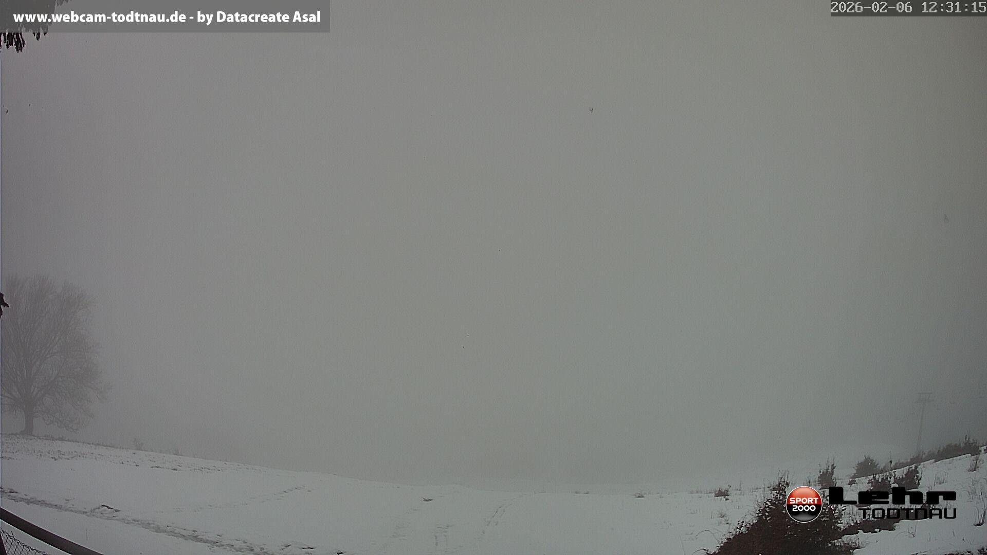 Archiv Foto Webcam Todtnau: Rodelbahn Hasenhorn