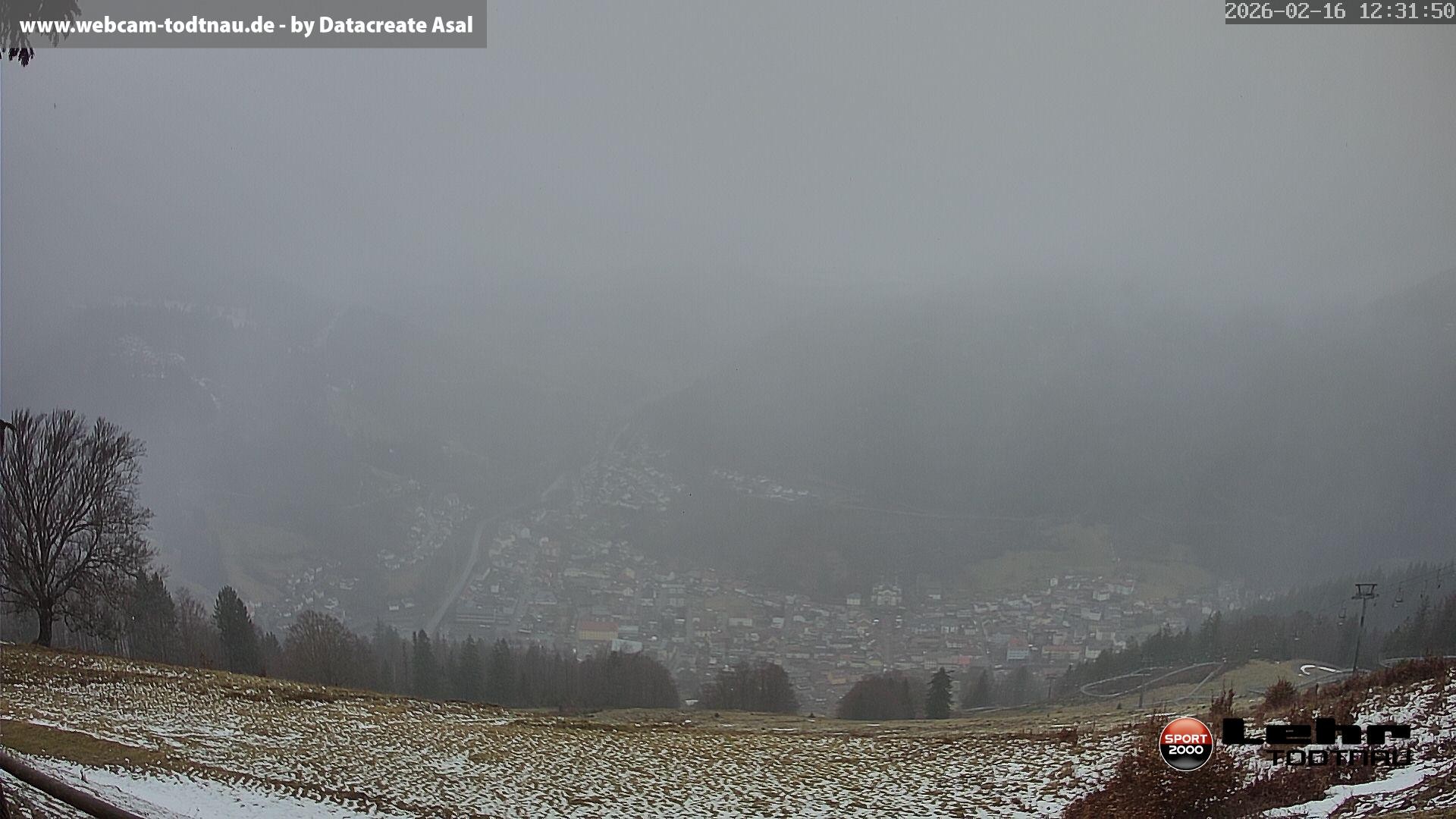 Archiv Foto Webcam Todtnau: Rodelbahn Hasenhorn