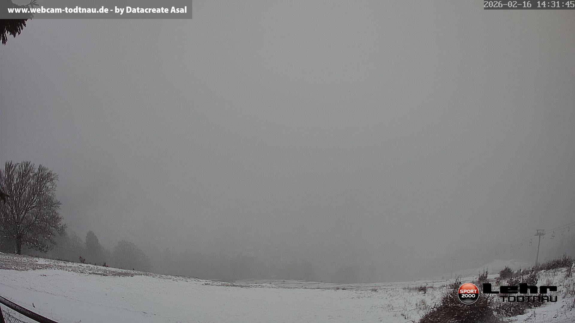 Archiv Foto Webcam Todtnau: Rodelbahn Hasenhorn