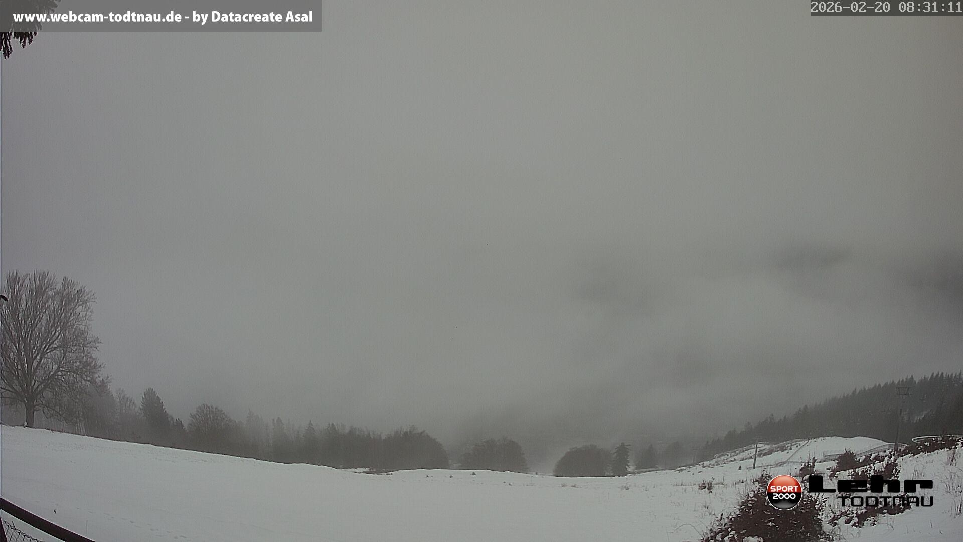 Archiv Foto Webcam Todtnau: Rodelbahn Hasenhorn
