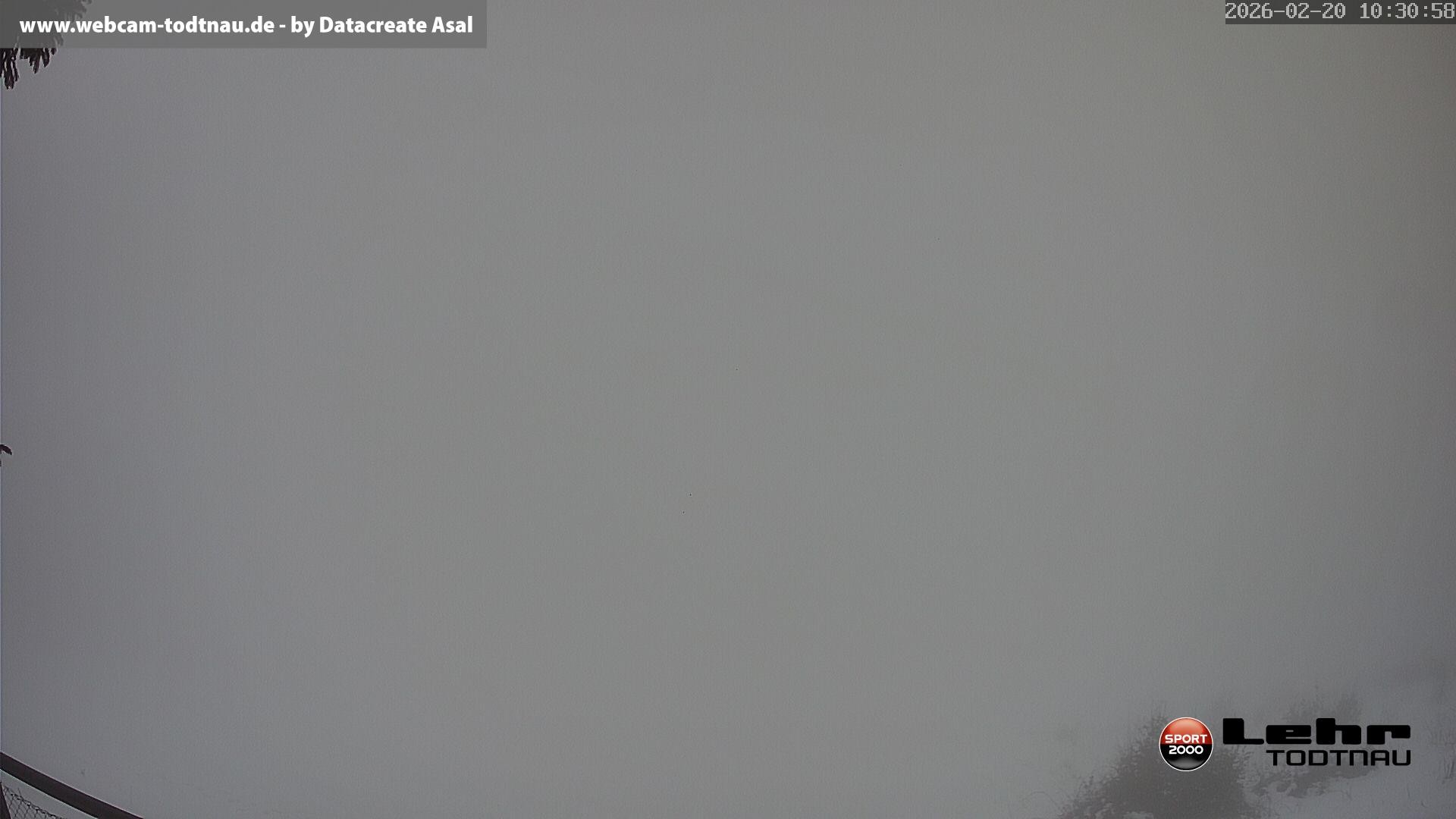 Archiv Foto Webcam Todtnau: Rodelbahn Hasenhorn